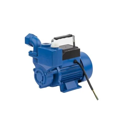 Izdb-45 0.55kw 0.75HP 真鍮製インペラ General Electric 自吸式ペリフェラル ウォーター ポンプ-
